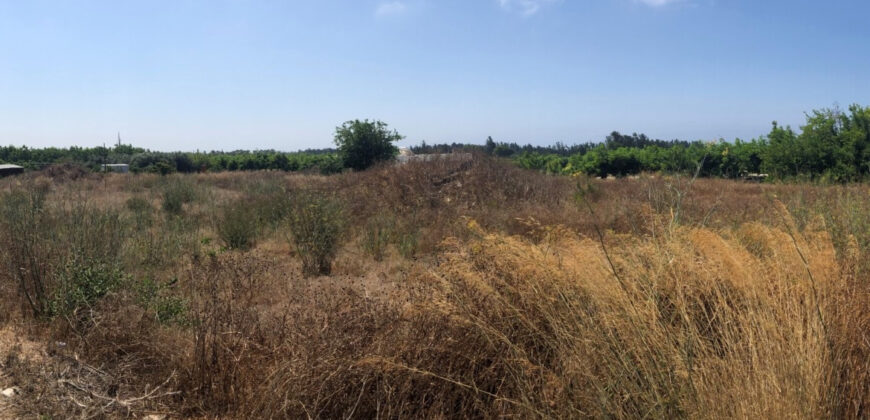 Paphos Geroskipou Building Plot For Sale TPH5344