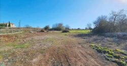 Paphos Ineia 2Bdr Bungalow For Sale DTC4020