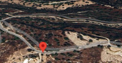Paphos Koili Building Plot For Sale TPH5518