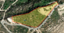 Paphos Koili Building Plot For Sale TPH5518