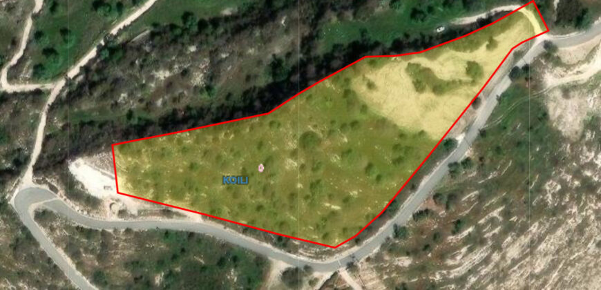 Paphos Koili Building Plot For Sale TPH5518