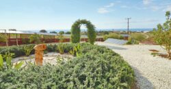 Paphos Peyia 3Bdr Bungalow For Sale SKR18260