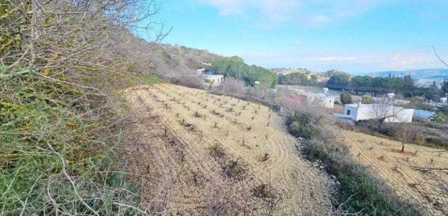 Paphos Theletra  Plot For Sale VLSTHFB1SLV