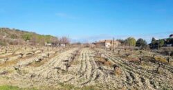 Paphos Theletra  Plot For Sale VLSTHFB1SLV
