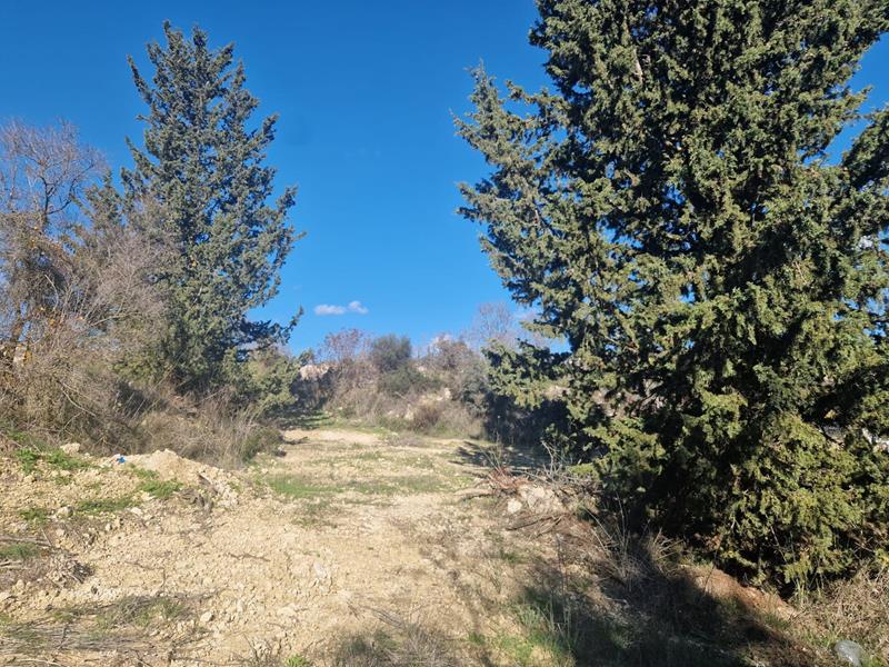 Paphos Tsada  Land For Sale VLSISLTSLV