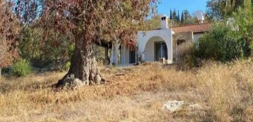 Paphos Chloraka 3Bdr Plot For Sale VLSISRLSLV