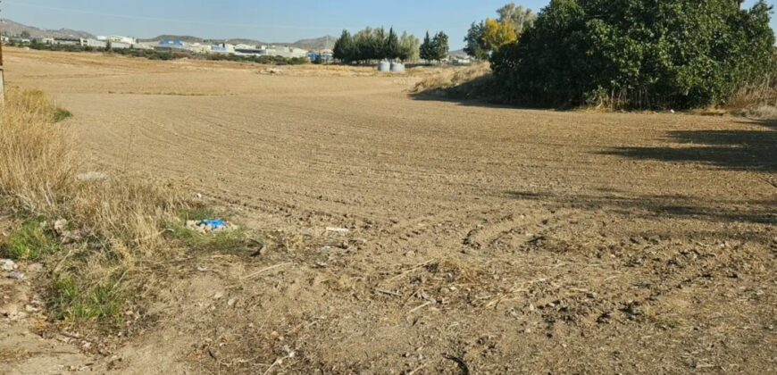 Paphos Timi  Residential Land For Sale DTC4096