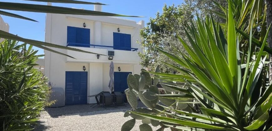 Paphos Chlorakas 3Bdr Detached Villa For Sale DTC4139
