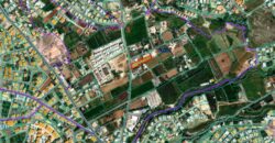 Paphos Emba  Agricultural Land For Sale DTC4156