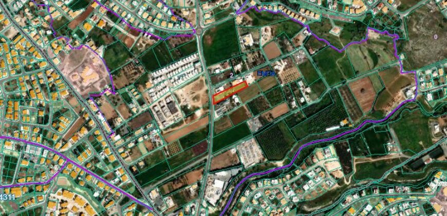 Paphos Emba  Agricultural Land For Sale DTC4156