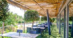 Paphos Polis Chrysochous Municipality Neo Chorio 1Bdr Apartment For Sale GRD9692