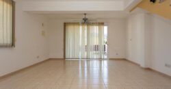 Paphos Argaka 2Bdr Houses For Sale AMRCG11330