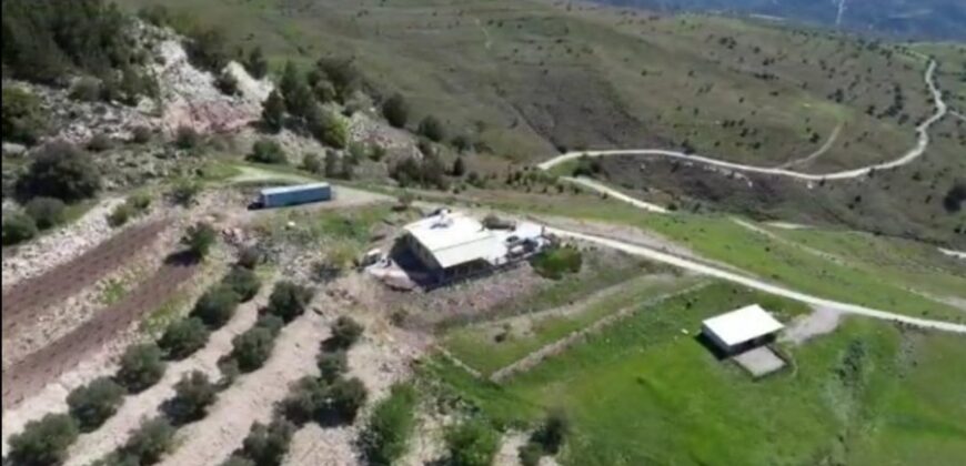 Paphos Koilinia Bungalow For Sale KTM108136