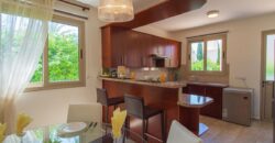 Paphos Poli Crysochous 3Bdr Detached Villa For Rent DTC4720