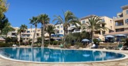 Paphos  1+1 extra Bedroom Apartment For Sale MYM10285