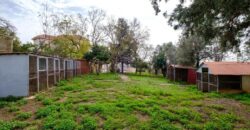 Paphos Akamas Municipality Pegeia 6Bdr House For Sale GRD6659