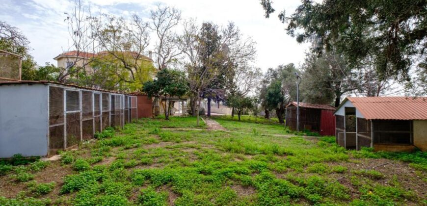 Paphos Akamas Municipality Pegeia 6Bdr House For Sale GRD6659