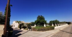 Paphos Emba 4Bdr Detached Villa For Sale SKR17935