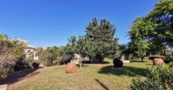 Paphos Emba 4Bdr Detached Villa For Sale SKR17935