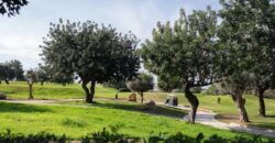 Paphos Kouklia – Aphrodite Hills 4Bdr Detached Villa For Rent DTC4851