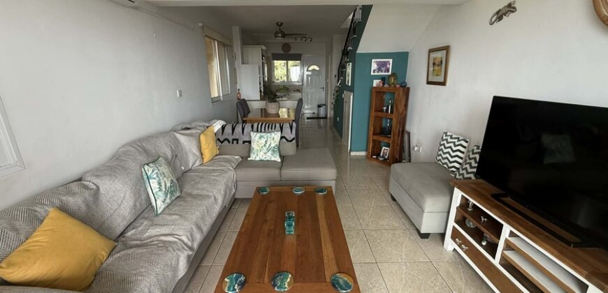 Paphos Pegeia 2Bdr House – Terraced For Sale ZTC3131