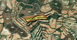 Paphos Polemi  Agricultural Land For Sale DTC4847