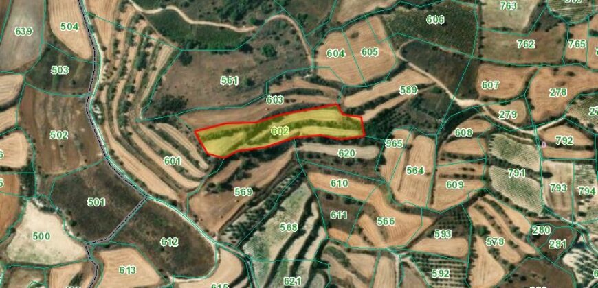 Paphos Polemi  Agricultural Land For Sale DTC4847