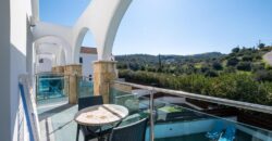 Paphos Polis Chrysochous Municipality Neo Chorio 1Bdr Apartment For Sale GRD9699