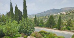 Paphos Tsada 3Bdr Detached Villa For Sale SKR18350