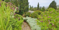 Paphos Tsada 3Bdr Detached Villa For Sale SKR18350
