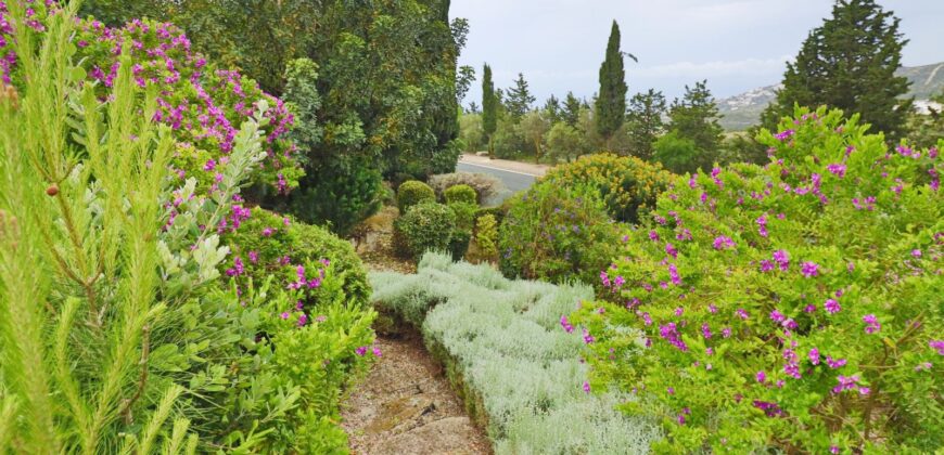 Paphos Tsada 3Bdr Detached Villa For Sale SKR18350