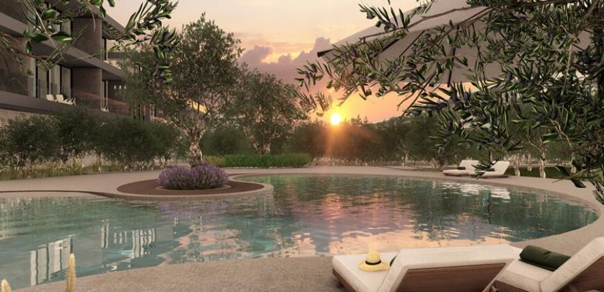 Paphos Anarita 18Bdr Investment Property For Sale VLSSLVELINV