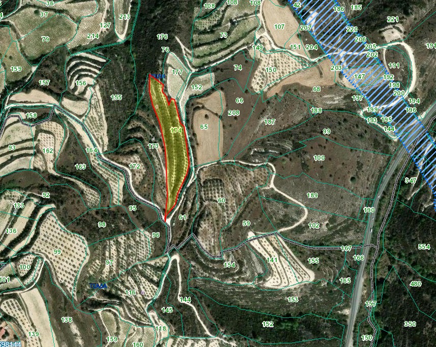 Paphos Koili  Agricultural Land For Sale DTC4949
