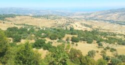 Paphos Lasa 6 Bedroom Villa For Sale KW7SL0150S