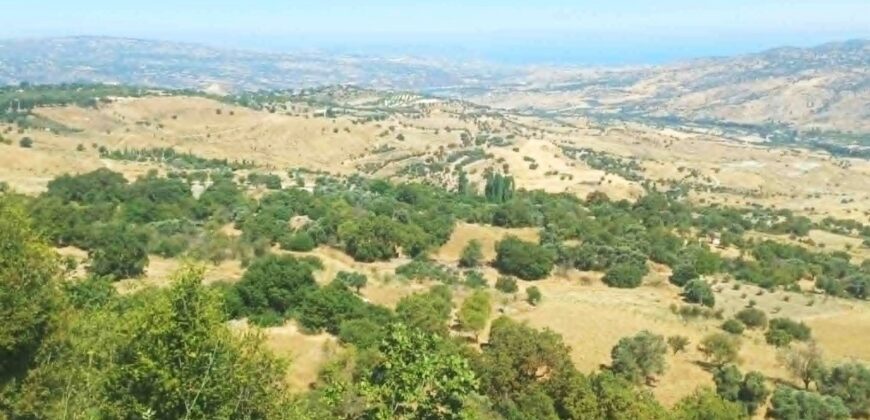 Paphos Lasa 6 Bedroom Villa For Sale KW7SL0150S