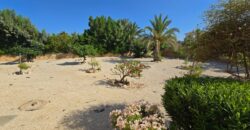Paphos Peyia 4 Bedroom Villa For Sale KW7WT0025S