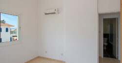 Paphos Argaka 3Bdr House For Sale NGM14908