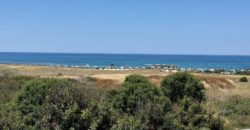 Paphos Kato Paphos 2Bdr House – Terraced For Sale ZTC3159