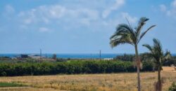 Paphos Mandria 2Bdr Apartment For Rent DTC5074