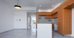 Paphos Paphos Town Detached Villa 4Bdr For Sale CPNC1783