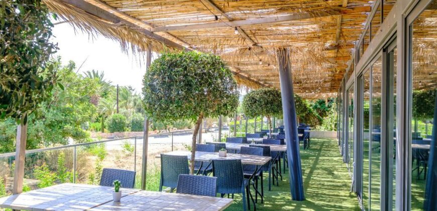 Paphos Polis Chrysochous Municipality Neo Chorio 1Bdr Studio Apartment For Sale GRD9352