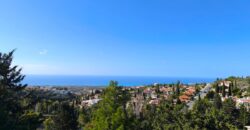 Paphos Tala – Kamares 3Bdr Detached Villa For Sale DTC4001