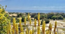 Paphos Peyia – Sea Caves 4 Bedroom Bungalow For Sale KW7ALC0002S