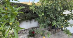 Paphos Kato Paphos – Universal 3 Bedroom Villa Semi-Detached For Sale KW7ALC0003S