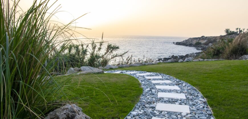 Paphos Chloraka 3 Bedroom Villas / Houses For Sale LPT62075