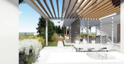 Paphos Chloraka 4 Bedroom Villas / Houses For Sale LPT10227