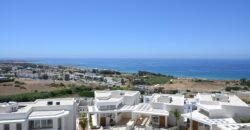 Paphos Chloraka 4 Bedroom Villas / Houses For Sale LPT24357