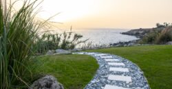 Paphos Chloraka 6 Bedroom Villas / Houses For Sale LPT62053