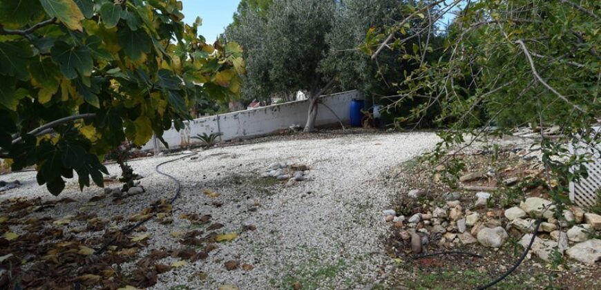 Paphos Coral Bay Detached Villa For Sale KTM100074