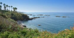 Paphos Kissonerga 4 Bedroom Villas / Houses For Sale LPT86774